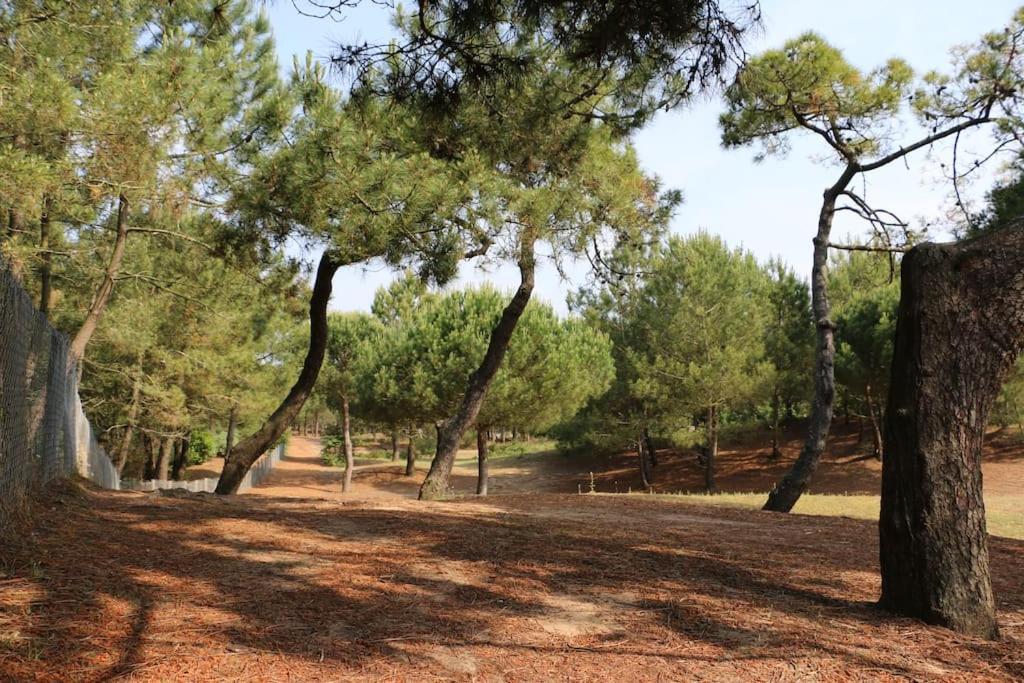 Vaimiti, Cabane Cosy Sous Les Pins Saint-Brévin-les-Pins Luaran gambar
